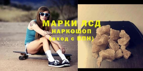сатива Армянск
