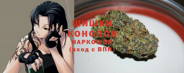 сатива Армянск