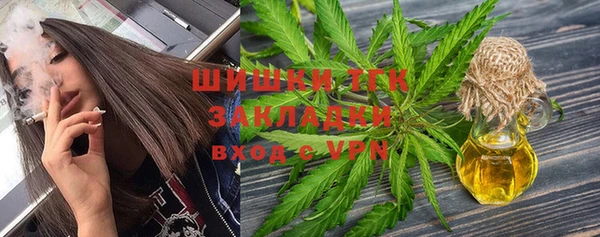 сатива Армянск
