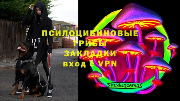 сатива Армянск
