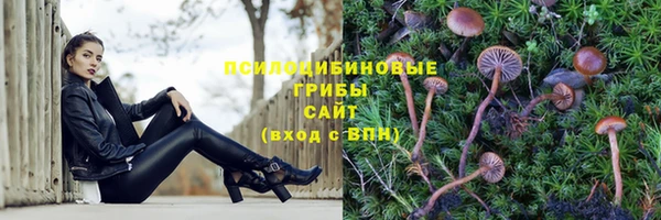 сатива Армянск