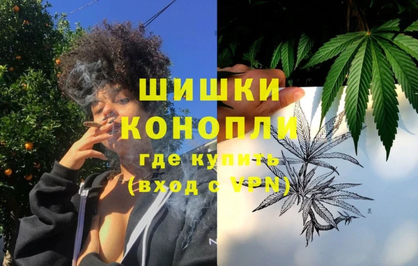спайс Арсеньев