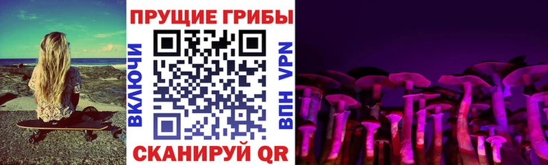 где купить наркоту  Северо-Курильск  Галлюциногенные грибы мухоморы 